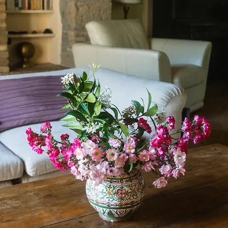 Bed & Breakfast Collina Blu Orvieto