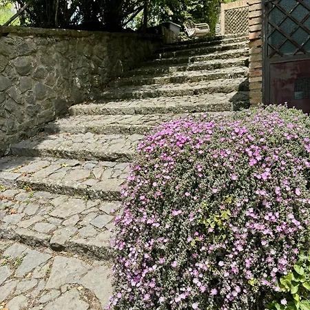 Collina Blu Frühstückspension Orvieto