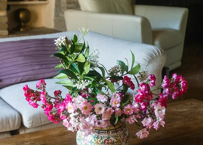 Bed & Breakfast Collina Blu Orvieto