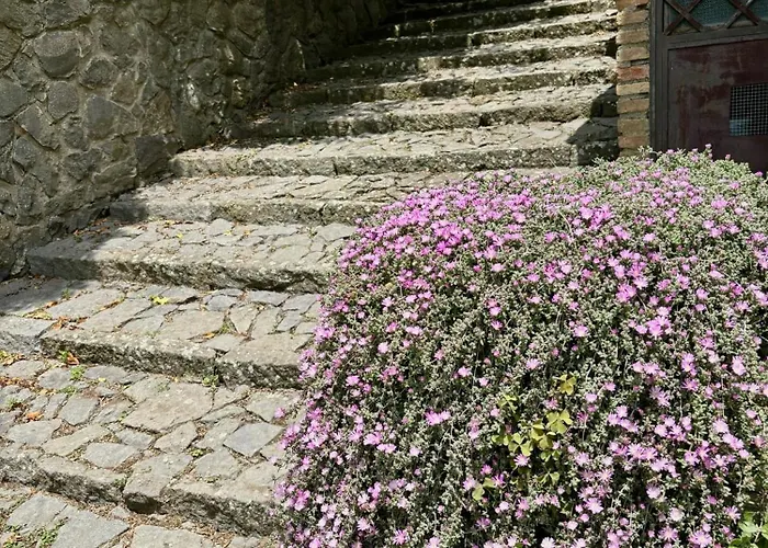 Collina Blu Bed & Breakfast Orvieto